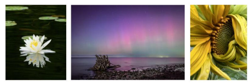 Audubon Announces 2025 Nature Photography Contest Winners